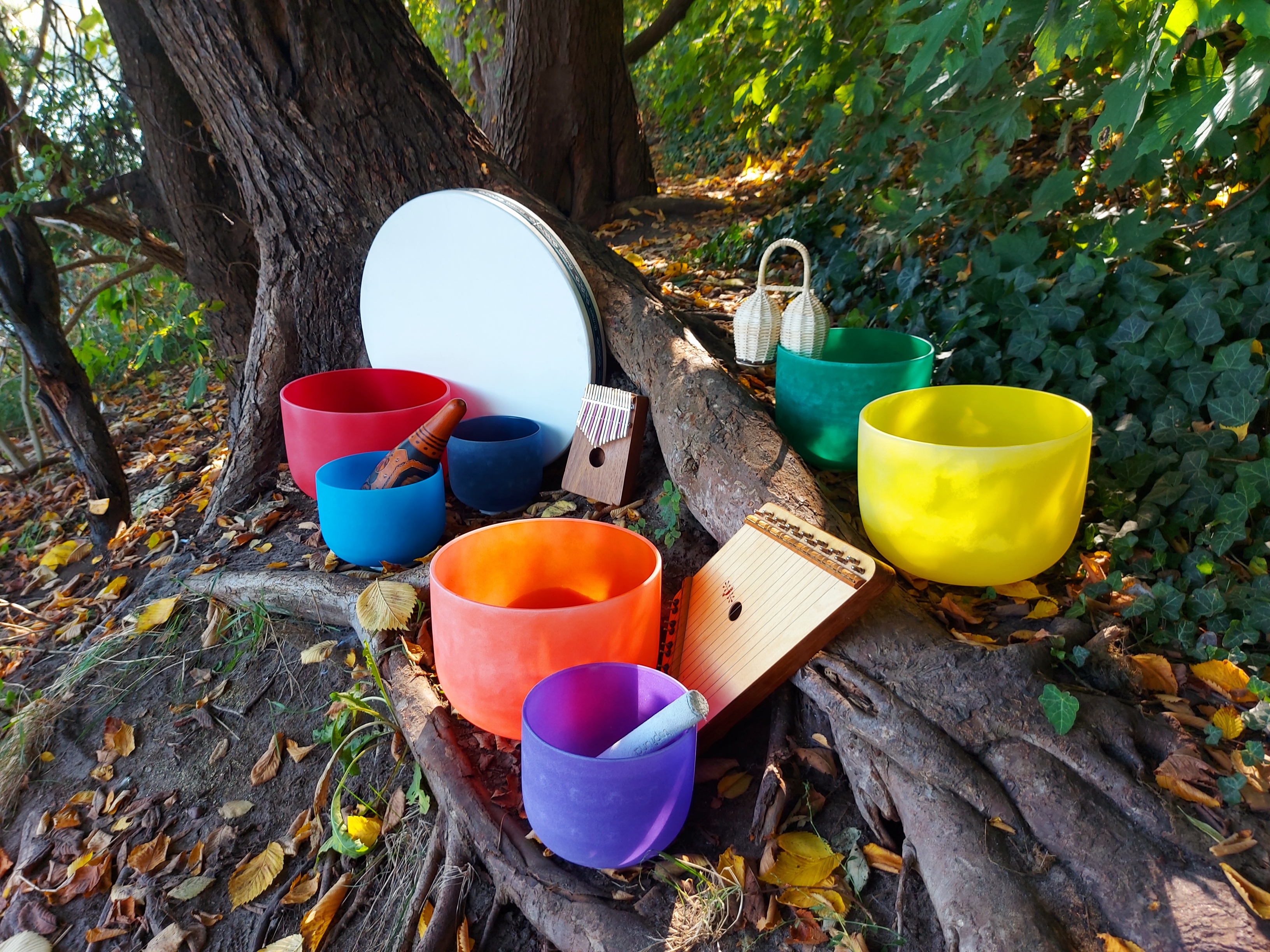 Bartek Dzikowski - muzykoterapeuta, misy i instrumenty muzykoterapeutyczne w lesie przy drzewie.